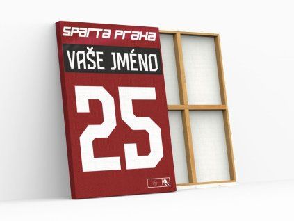 dres hc sparta praha obraz2
