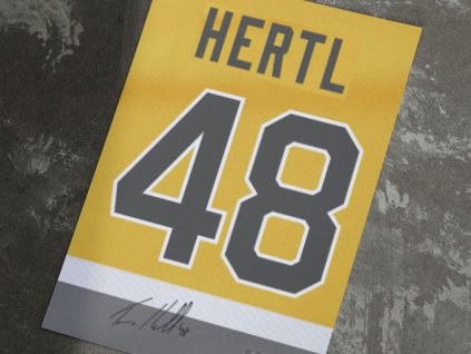 hertl vegas plakát