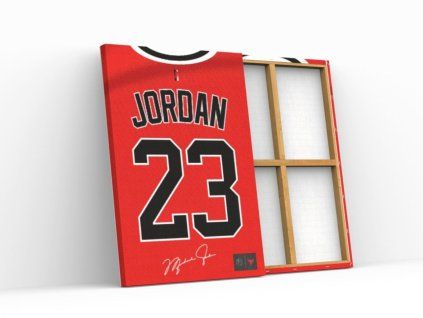 205 2 jordan bulls obraz2
