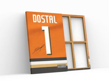 232 3 lukas dostal anaheim ducks obraz2