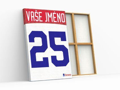 306 reprezentace cesko ram