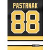 david pastrnak boston bruins