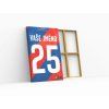 165 1 viktoria plzen dres obraz