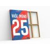 165 2 viktoria plzen dres obraz2