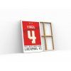 193 3 virgil liverpool obraz1