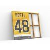 201 2 hertl vegas obraz2