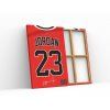 205 2 jordan bulls obraz2