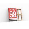 226 2 connor bedard chicago blackhaws obraz
