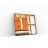 232 2 lukas dostal anaheim ducks obraz