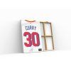 294 stephen steph curry golden state warriors obraz1