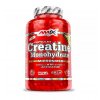 Amix Creatine Monohydrate Kapsle - 500 kapslí