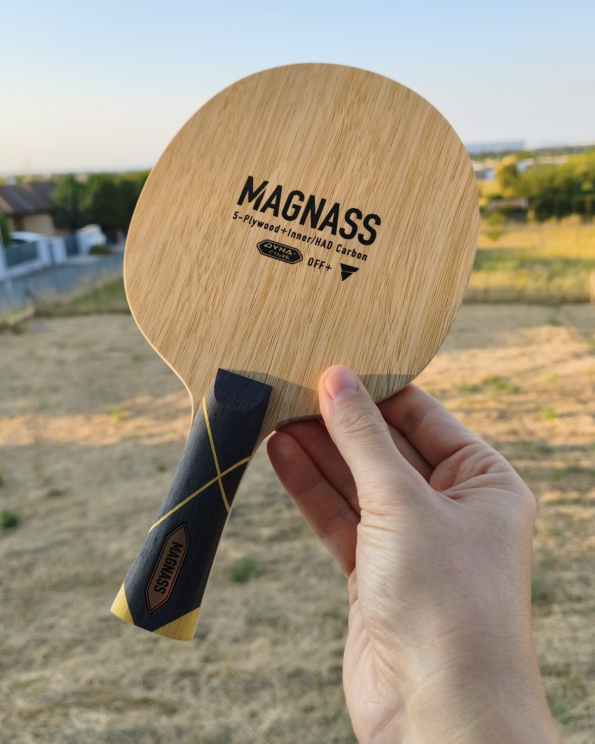 magnass