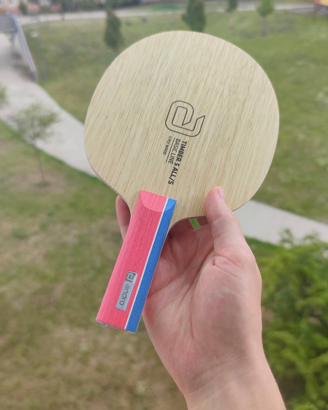 timber_5_all
