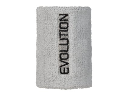 EVOLUTION SweatBand small