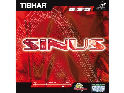 sinus