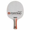 Fortino Pro