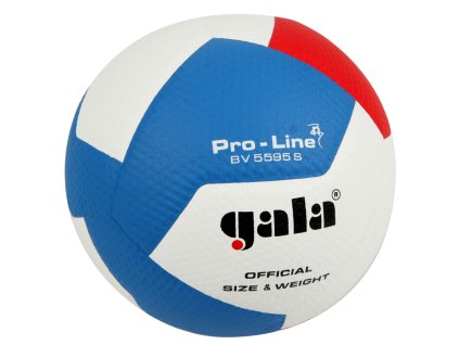 Gala Pro Line - BV 5595 S volejbalový míč