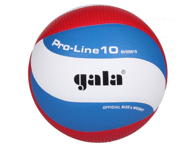 Gala Pro Line 10 BV5581S volejbalový míč