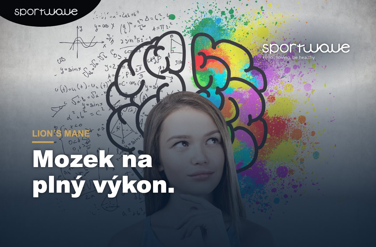 Lion´s mane: Skrytá síla pro mozek, nervovou soustavu a celkovou vitalitu