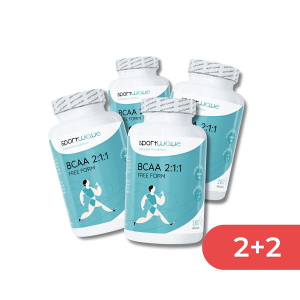 2+2 bcaa 211