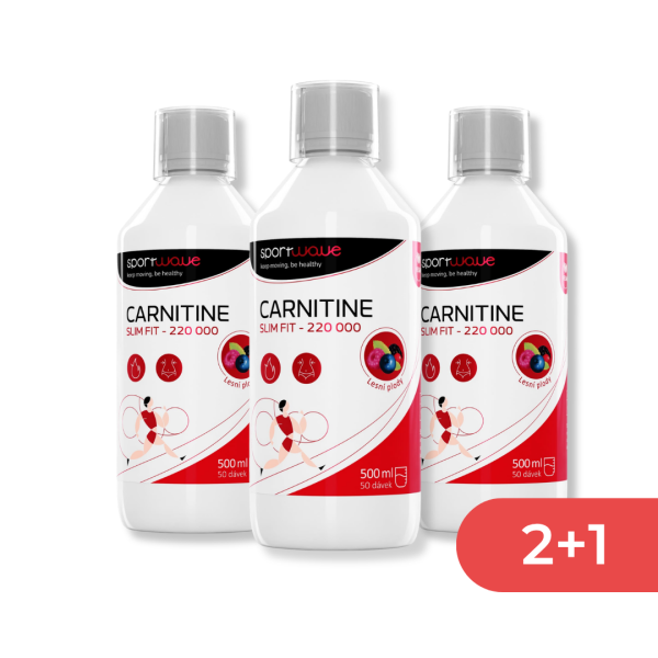 carnitin 2+1 lesni plody