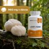 lions mane tabulka slozeni