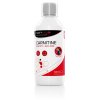 Carnitine Sportwave 0,5 l Lesní plody