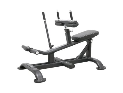 SEATED CALF RAISE