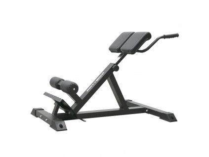 Lower Back Bench