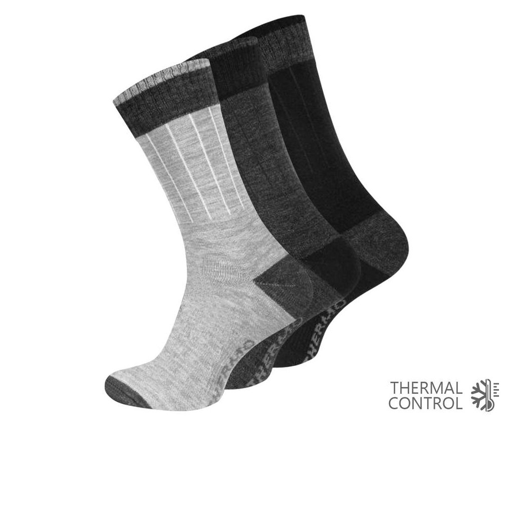 Ponožky pánské "THERMO TECH"