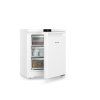 Fe 1003 Stolní mraznička se SmartFrost