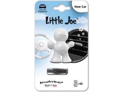 3048 little joe new car
