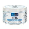 3846 alpa ice gel chladivy 250 ml