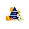 67eaa7ff79469d48b49ffe67 piramide bagno narciso