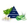 piramide muschio bianco adc it 2022 1
