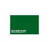 194 105 6095 black color plant