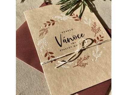 342 9 blahoprani vanocni vetvicky
