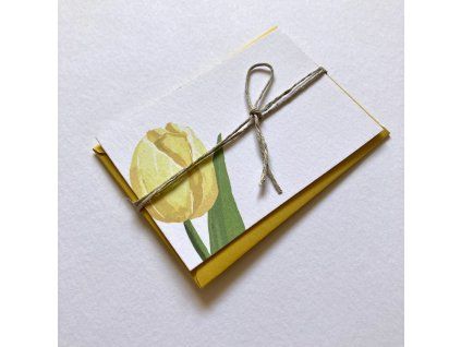 384 2 blahoprani do kytice zlute tulipany