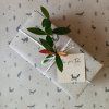 243 4 balici papir lisky