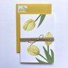 381 1 blahoprani zlute tulipany