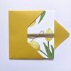 381 3 blahoprani zlute tulipany