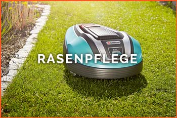 Rasenpflege