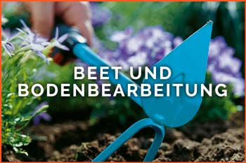 Beet und Bodenbearbeitung