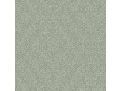 hr 72 Rap 36821 Welle gruen ZS