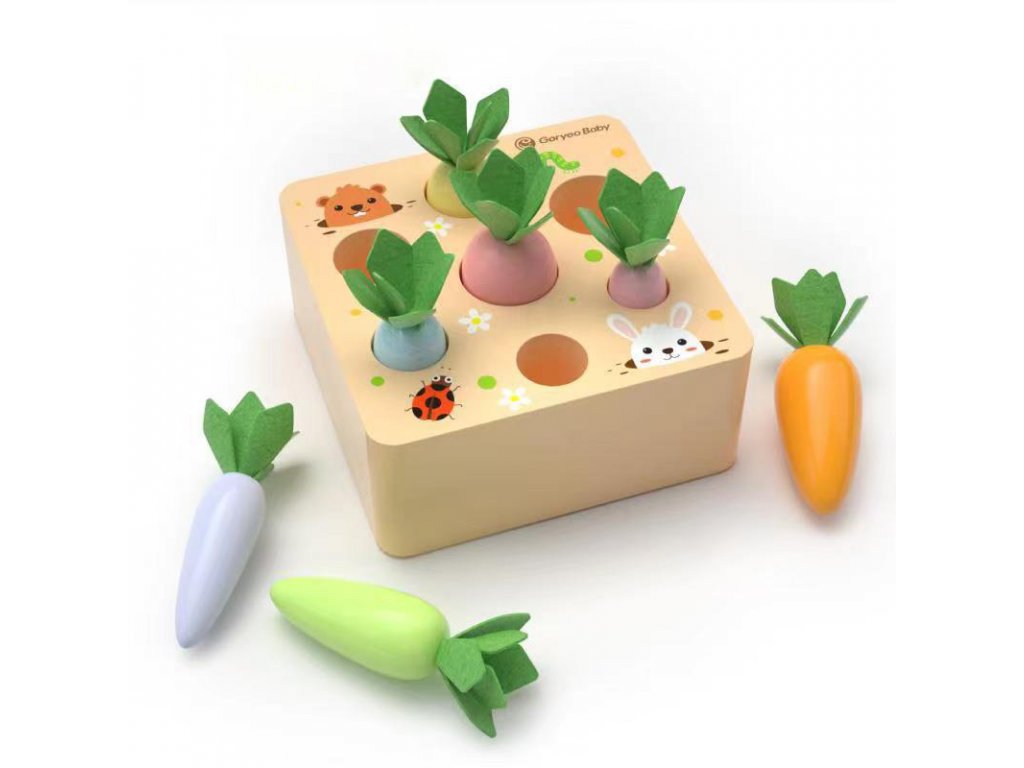 DřevěnáMontessori_hra_Goryeo_Baby_mrkve_barevné_1