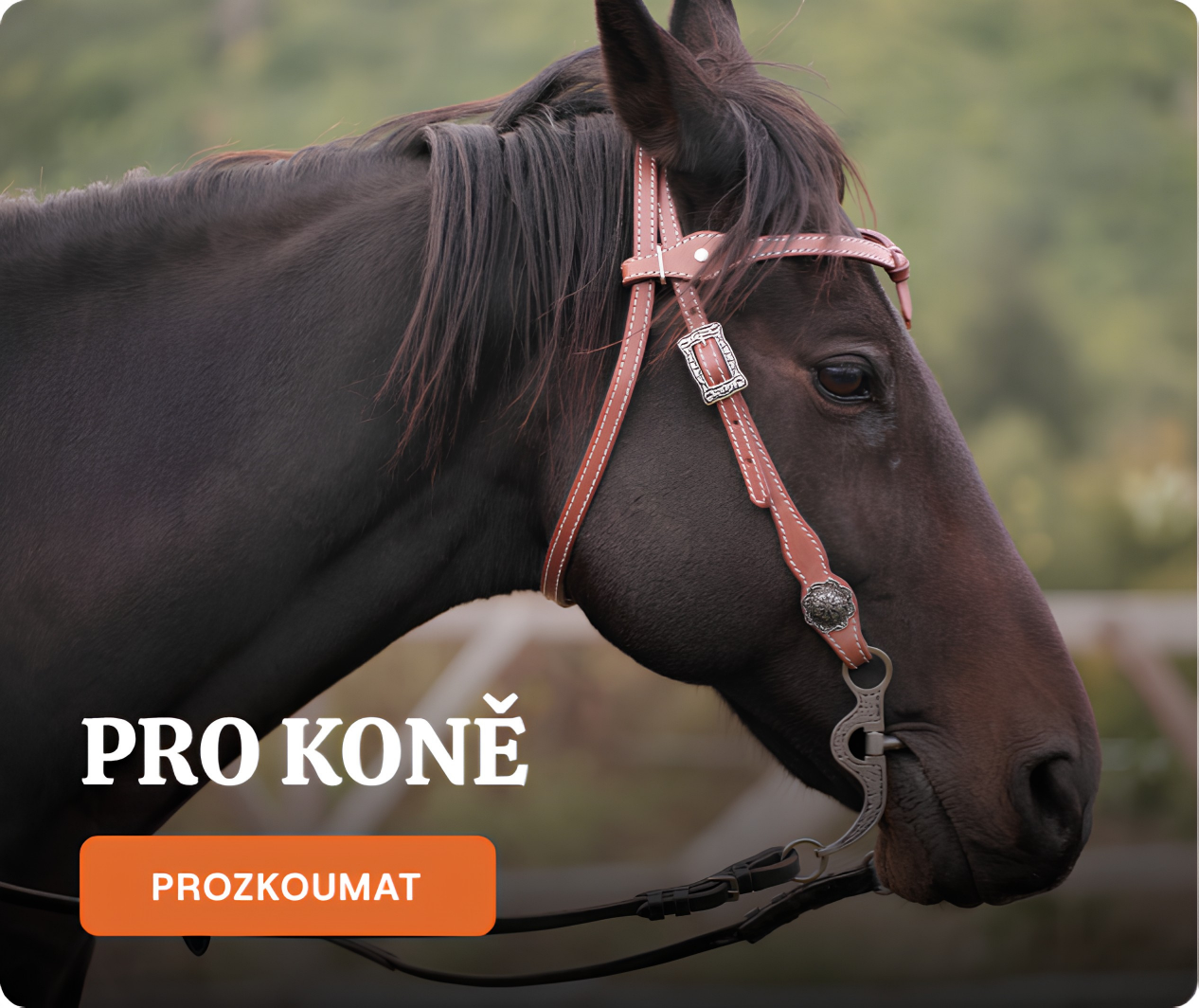 Pro koně