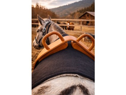 7222378F B29B 40D8 B240 13F9965CCFC5