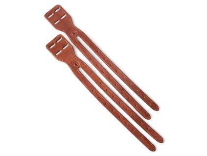 Redukce k podbřišníku anglie