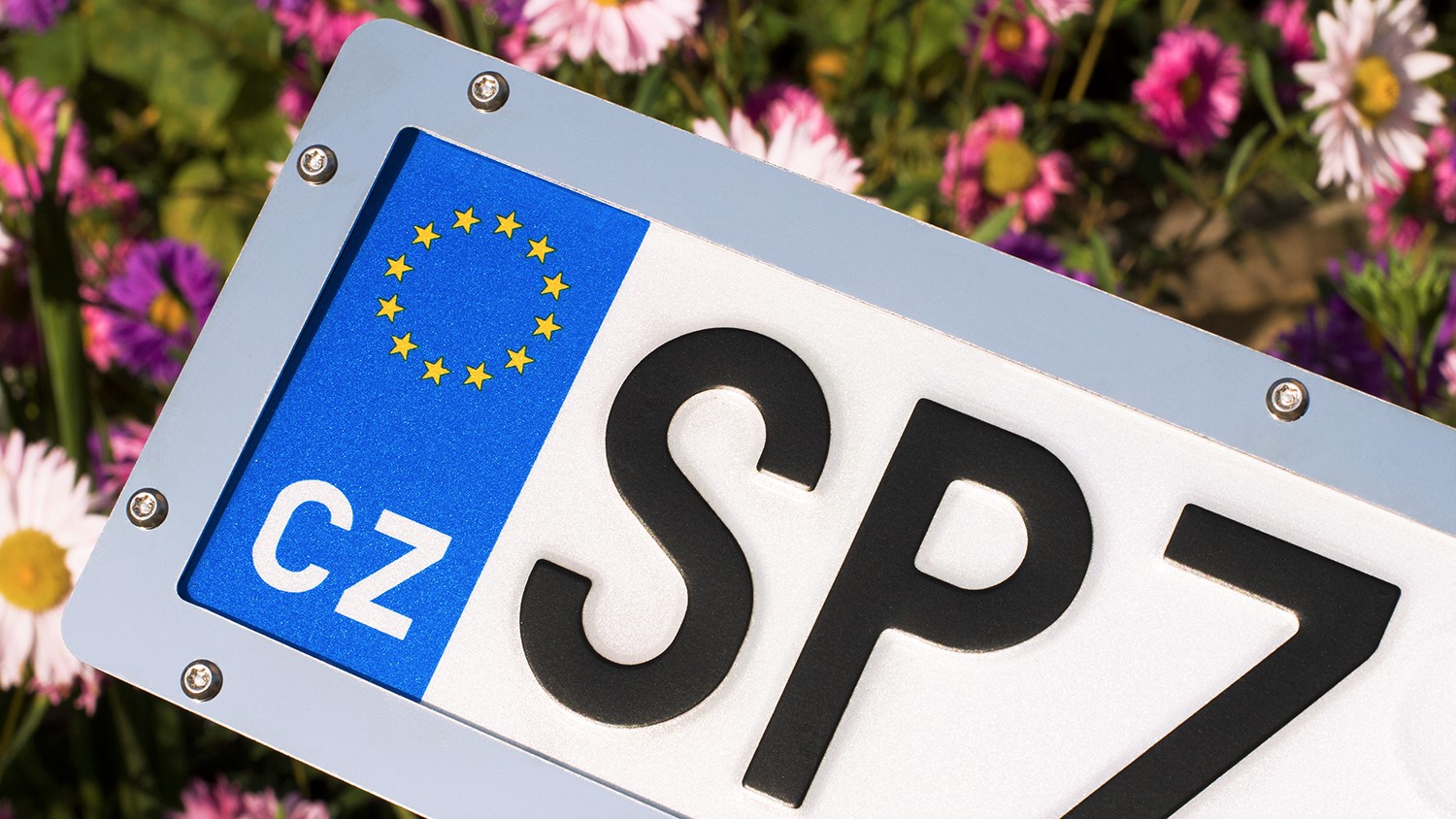 SPZ Guard B01 stainless detail