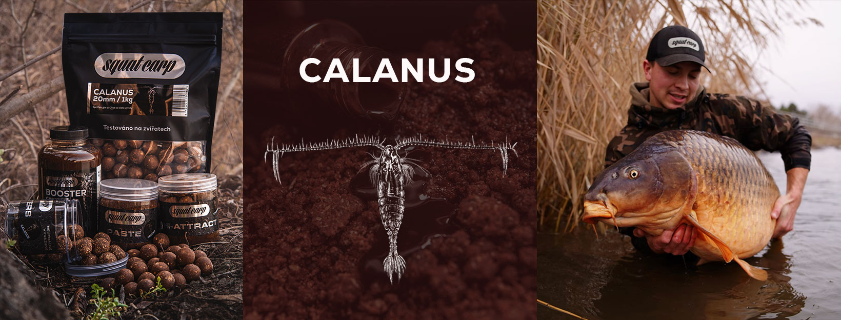 Calanus je v prodeji!